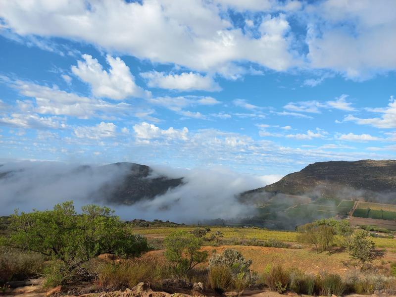 4 Bedroom Property for Sale in Piketberg Rural Western Cape